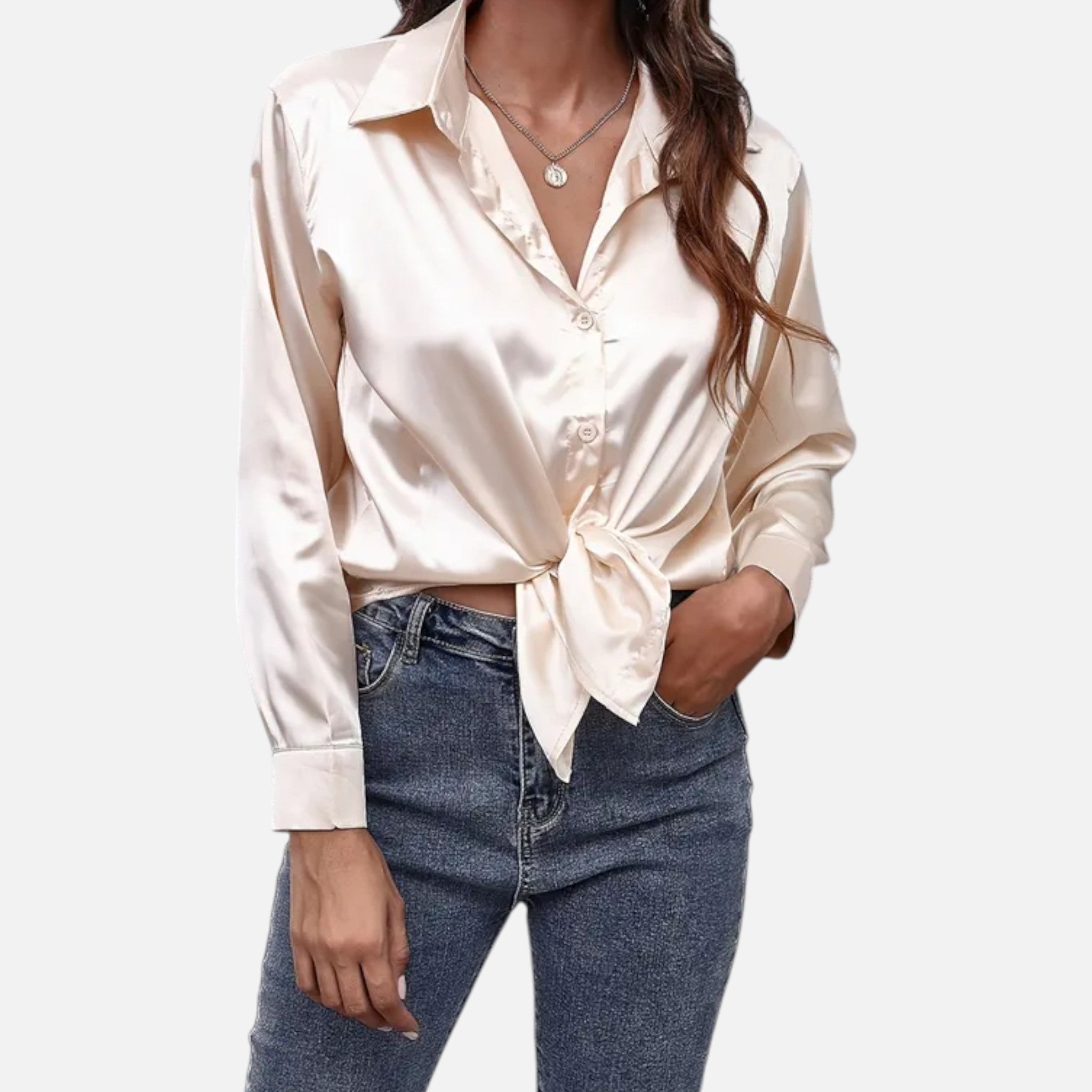 VELYXA | Women’s Satin Finish Long Sleeve Blouse